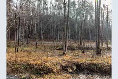 894 Hap Holt Road, Ellijay, GA 30540 - Photo 15