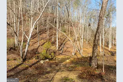 894 Hap Holt Road, Ellijay, GA 30540 - Photo 17
