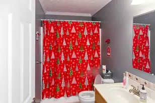 1205 Newport Dr, Ellijay, GA 30540 - Photo 11