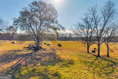 1191 Plain View Road, Carnesville, GA 30521 - Photo 3