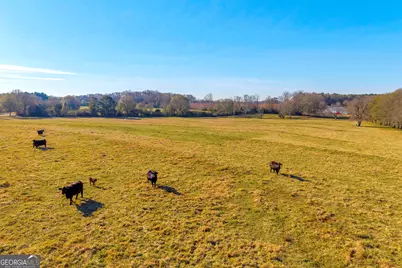 1191 Plain View Road, Carnesville, GA 30521 - Photo 39