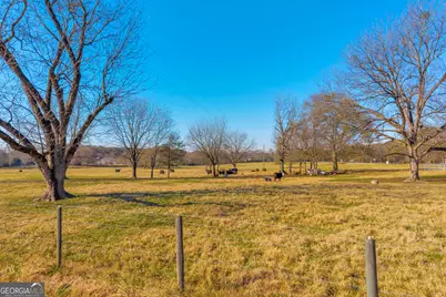 1191 Plain View Road, Carnesville, GA 30521 - Photo 31