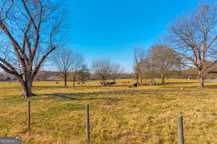 1191 Plain View Rd, Carnesville, GA 30521 - Photo 31