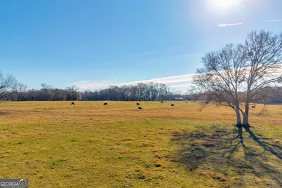 1191 Plain View Road, Carnesville, GA 30521 - Photo 15