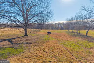 1191 Plain View Rd, Carnesville, GA 30521 - Photo 35