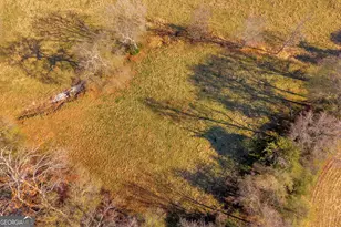 1191 Plain View Rd, Carnesville, GA 30521 - Photo 5