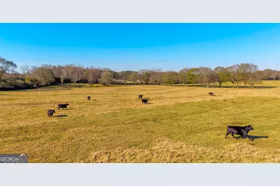 1191 Plain View Road, Carnesville, GA 30521 - Photo 11