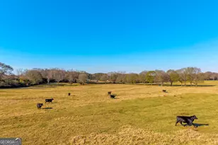 1191 Plain View Rd, Carnesville, GA 30521 - Photo 11