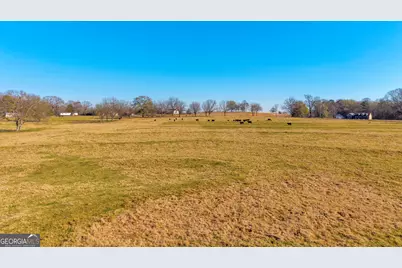 1191 Plain View Road, Carnesville, GA 30521 - Photo 7