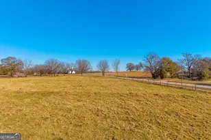 1191 Plain View Rd, Carnesville, GA 30521 - Photo 9