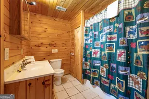 101 Moonshine Mountain Rd, Mineral Bluff, GA 30559 - Photo 7