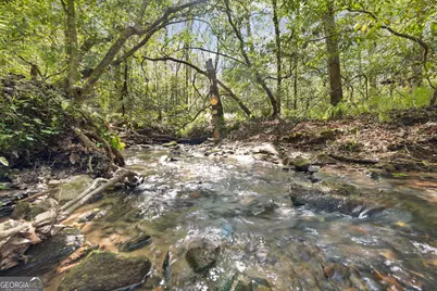 4541 Cavender Creek Road, Dahlonega, GA 30533 - Photo 55