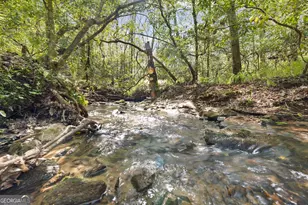 4541 Cavender Creek Rd, Dahlonega, GA 30533 - Photo 55