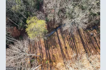 4541 Cavender Creek Road, Dahlonega, GA 30533 - Photo 51