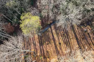 4541 Cavender Creek Rd, Dahlonega, GA 30533 - Photo 51