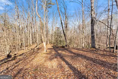 4541 Cavender Creek Road, Dahlonega, GA 30533 - Photo 39