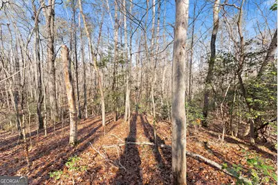 4541 Cavender Creek Road, Dahlonega, GA 30533 - Photo 41