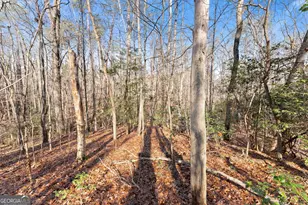 4541 Cavender Creek Rd, Dahlonega, GA 30533 - Photo 41