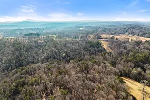 4541 Cavender Creek Rd, Dahlonega, GA 30533 - Photo 47