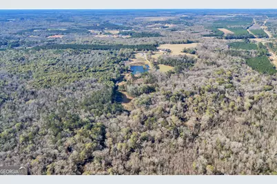 100 Odum Road, Americus, GA 31709 - Photo 17