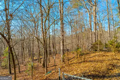 215 Stonehedge Drive, Clarkesville, GA 30523 - Photo 107