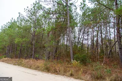 0 Victory Circle, Lyons, GA 30436 - Photo 11