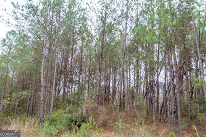 0 Victory Circle, Lyons, GA 30436 - Photo 15