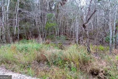 0 Victory Circle, Lyons, GA 30436 - Photo 13