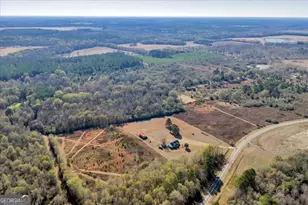 406 Horseshoe Bend Rd, Montezuma, GA 31063 - Photo 65