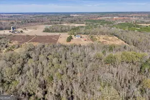 406 Horseshoe Bend Rd, Montezuma, GA 31063 - Photo 41