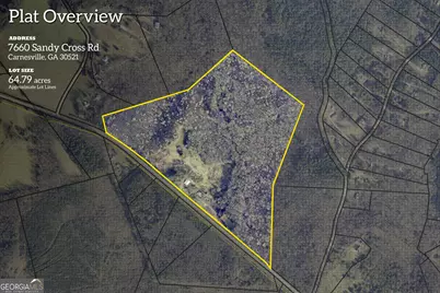 7660 Sandy Cross Road, Carnesville, GA 30521 - Photo 1