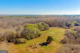 7660 Sandy Cross Rd, Carnesville, GA 30521 - Photo 39