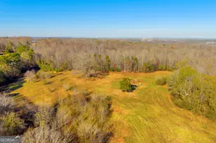 7660 Sandy Cross Rd, Carnesville, GA 30521 - Photo 37