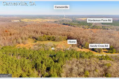 7660 Sandy Cross Road, Carnesville, GA 30521 - Photo 7