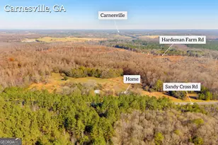 7660 Sandy Cross Rd, Carnesville, GA 30521 - Photo 7