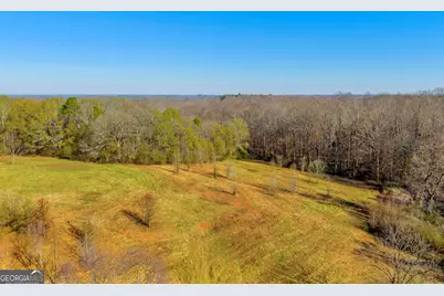 7660 Sandy Cross Road, Carnesville, GA 30521 - Photo 35