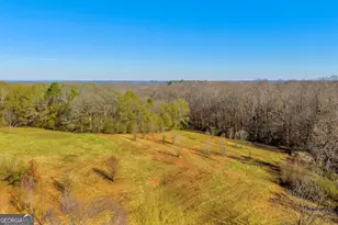 7660 Sandy Cross Rd, Carnesville, GA 30521 - Photo 35