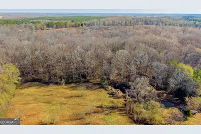 7660 Sandy Cross Road, Carnesville, GA 30521 - Photo 43