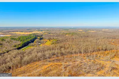 7660 Sandy Cross Road, Carnesville, GA 30521 - Photo 9