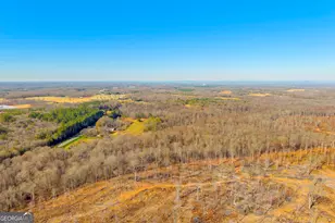 7660 Sandy Cross Rd, Carnesville, GA 30521 - Photo 9