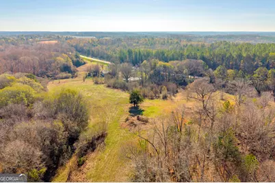 7660 Sandy Cross Road, Carnesville, GA 30521 - Photo 41