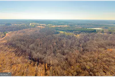 7660 Sandy Cross Road, Carnesville, GA 30521 - Photo 27