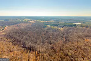 7660 Sandy Cross Rd, Carnesville, GA 30521 - Photo 27