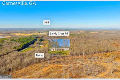 7660 Sandy Cross Road, Carnesville, GA 30521 - Photo 11