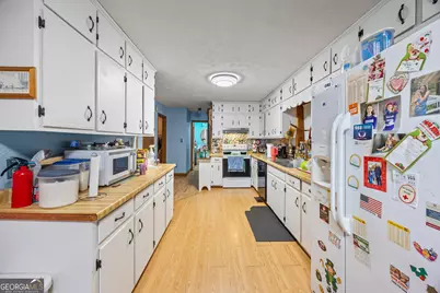 183 Golden Valley Drive, Demorest, GA 30535 - Photo 21