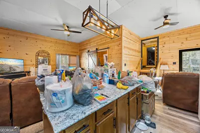 183 Golden Valley Drive, Demorest, GA 30535 - Photo 9