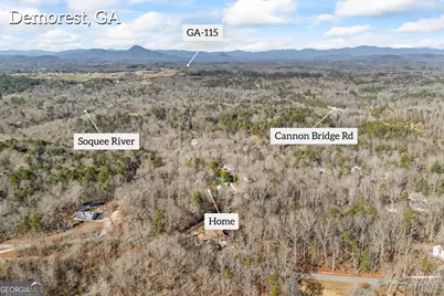 183 Golden Valley Drive, Demorest, GA 30535 - Photo 53