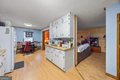 183 Golden Valley Drive, Demorest, GA 30535 - Photo 23