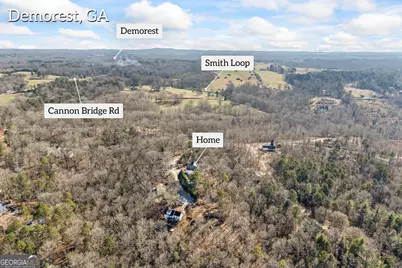 183 Golden Valley Drive, Demorest, GA 30535 - Photo 55