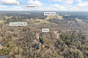 183 Golden Valley Dr, Demorest, GA 30535 - Photo 55